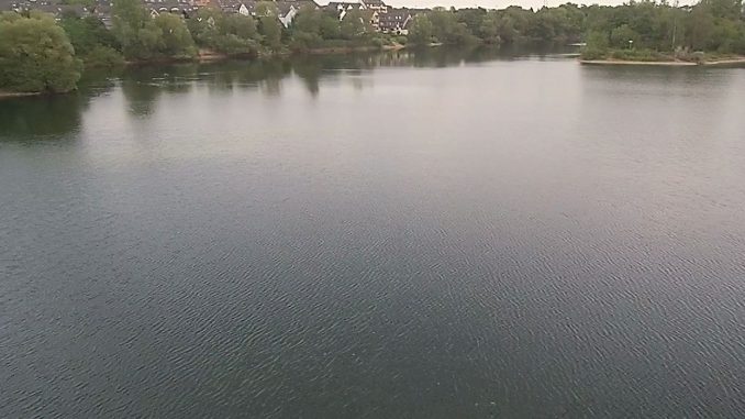 RotterSee43